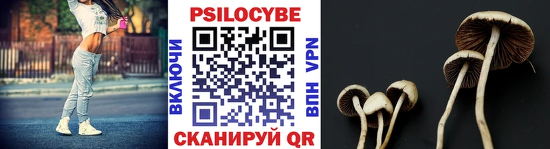 где можно купить   Горбатов  Псилоцибиновые грибы мицелий 